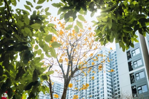 Vinhomes Smart City - Căn hộ xa trung tâm nhưng nhiều tiện ích